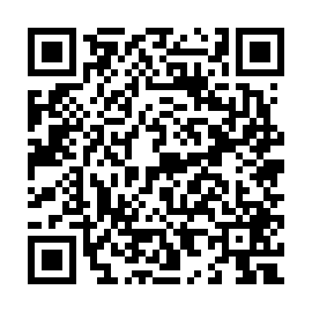 QR code for L856495