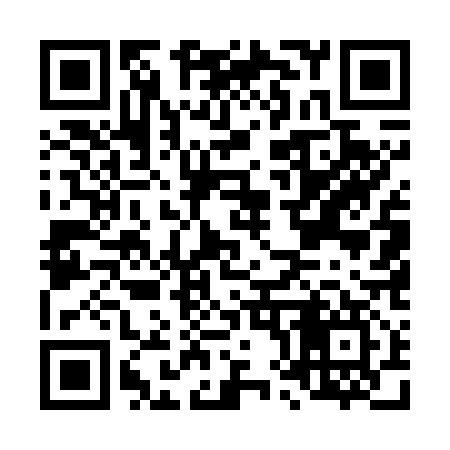QR code for L85717
