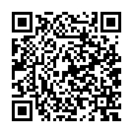 QR code for L863651