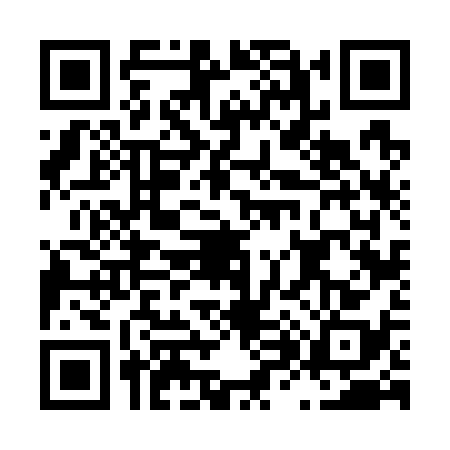 QR code for L867380