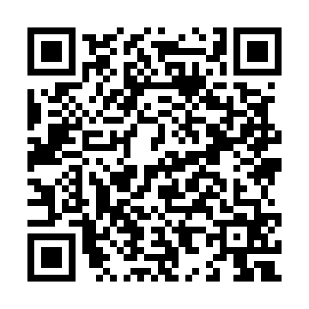 QR code for L895649