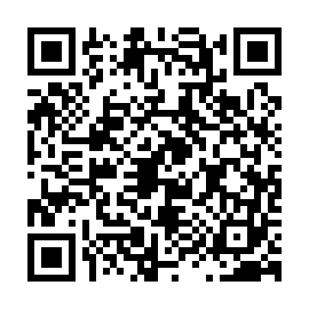 QR code for L911638