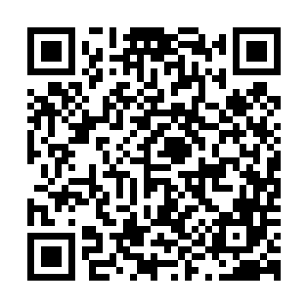 QR code for L91446