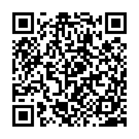 QR code for L91565