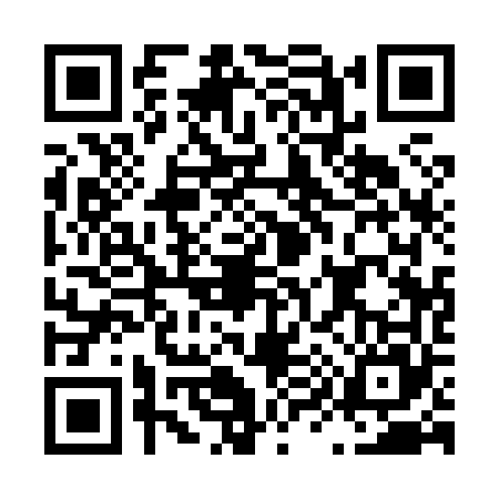 QR code for L918656