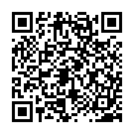 QR code for L919539