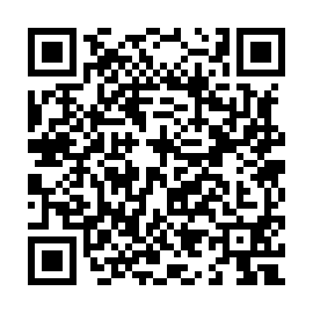 QR code for L938905