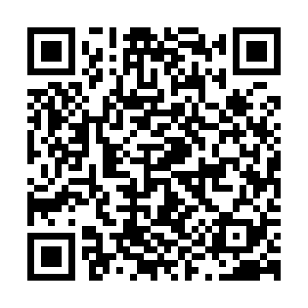 QR code for L95929