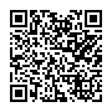 QR code for L96668