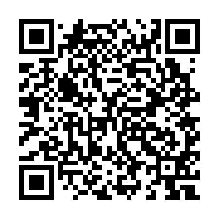 QR code for L97391