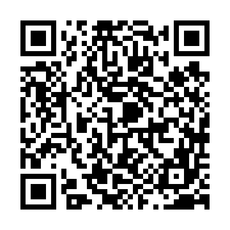 QR code for L98656