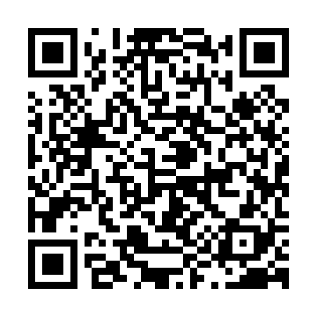 QR code for L99028