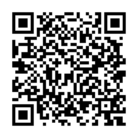 QR code for L994516