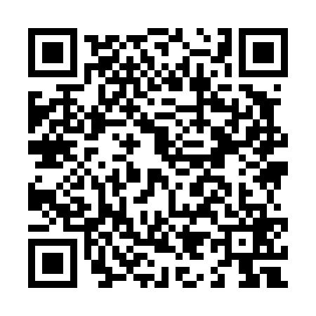 QR code for L994696