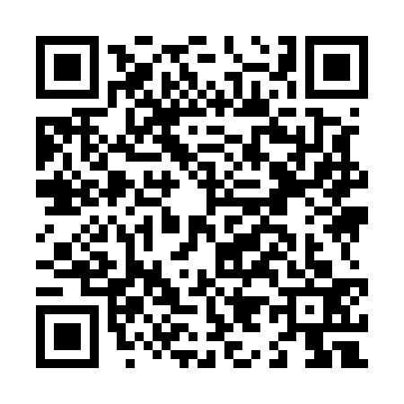 QR code for L995335