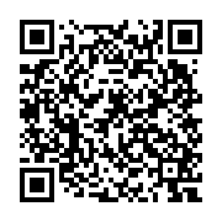 QR code for LAG641