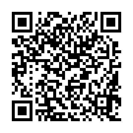 QR code for LAM294