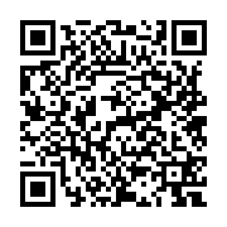 QR code for LC29206