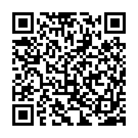 QR code for LDI213