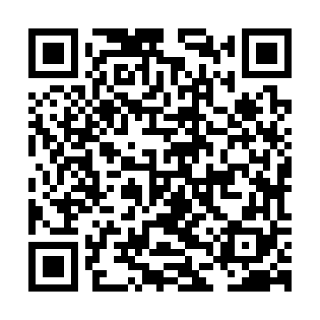 QR code for LDZ368