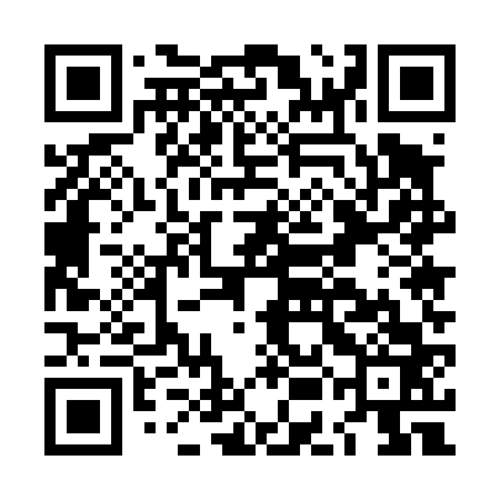 QR code for LEE463