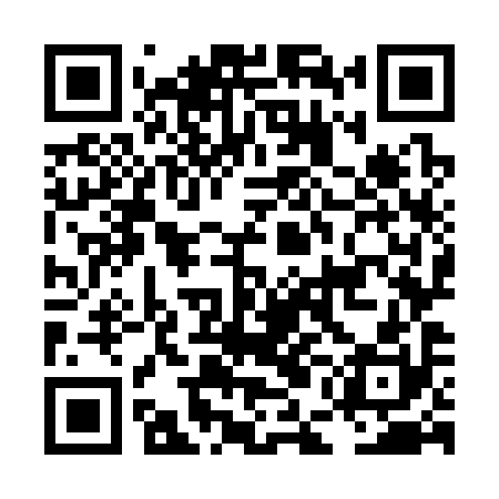 QR code for LEO390