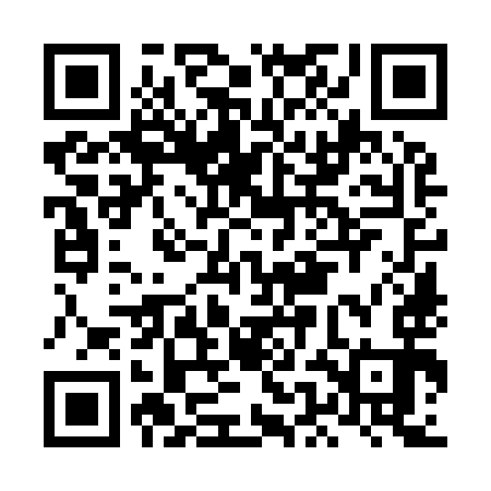 QR code for LEO993