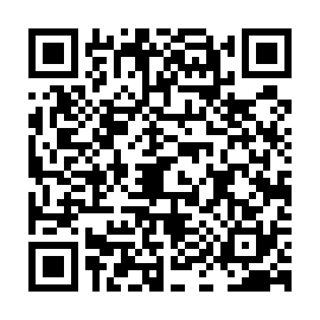 QR code for LI45303