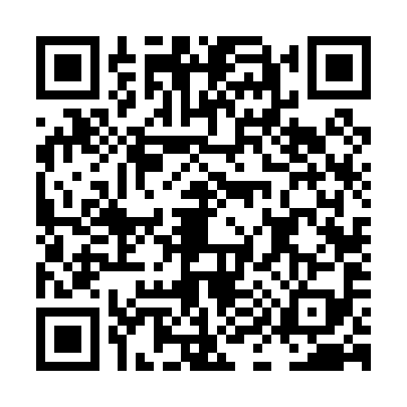 QR code for LI60994