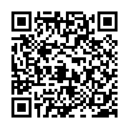 QR code for LI70383