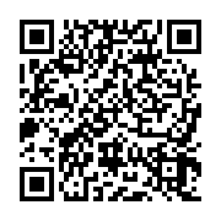QR code for LI81487