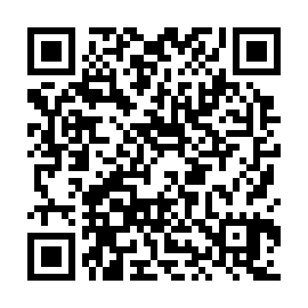 QR code for LI8325