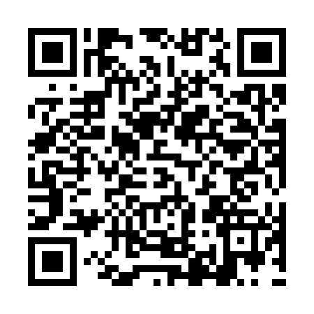 QR code for LI93476