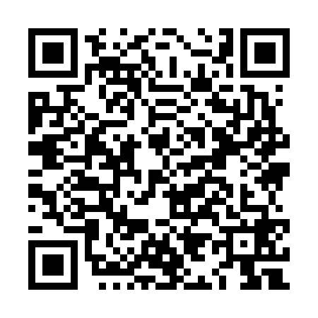 QR code for LI96685