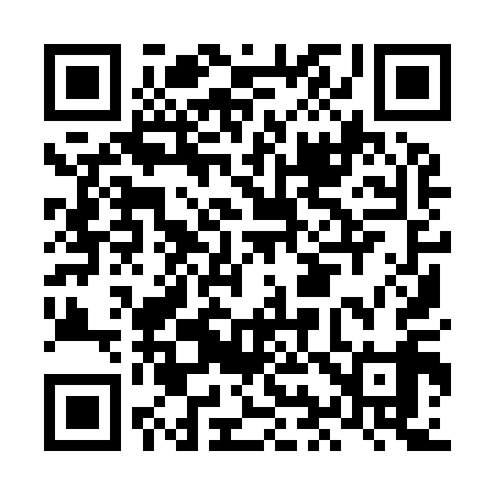 QR code for LI9919