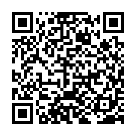 QR code for LIE391