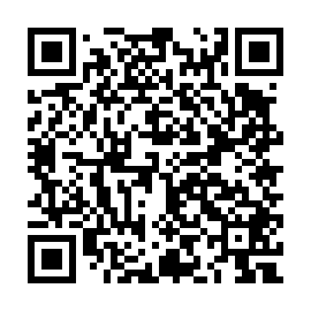 QR code for LIE448