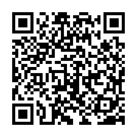 QR code for LIZ369