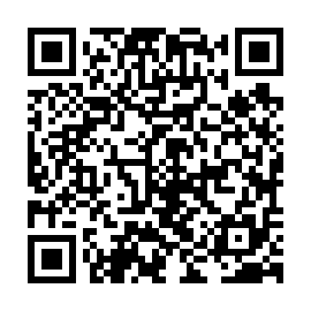 QR code for LIZ615