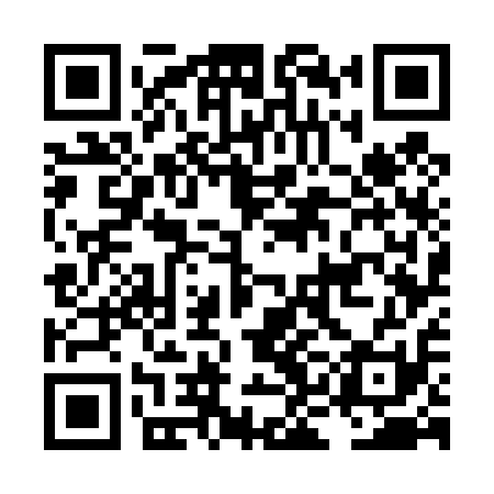 QR code for LKG411