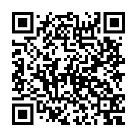 QR code for LLI533