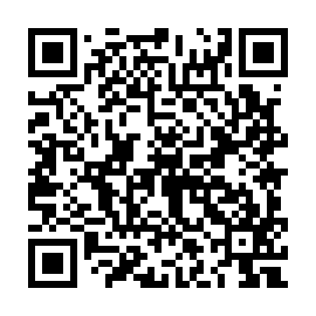 QR code for LLM197
