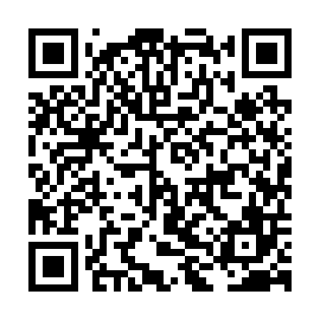 QR code for LLY206