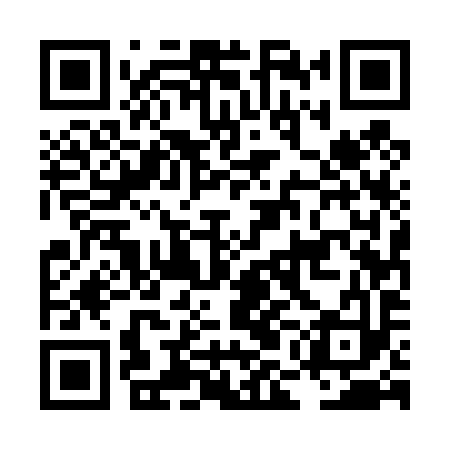 QR code for LME493
