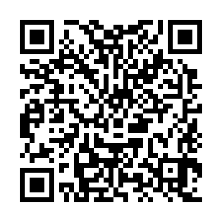 QR code for LMN383