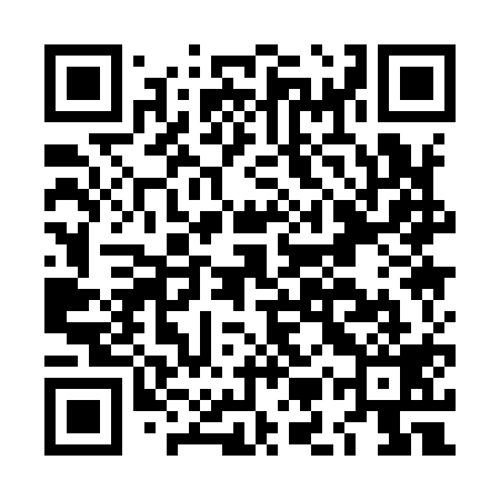 QR code for LMQ919
