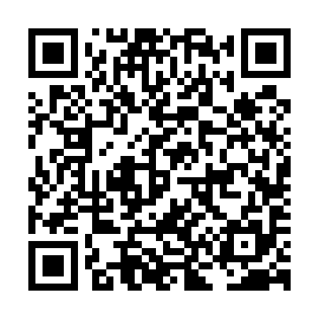 QR code for LN6595