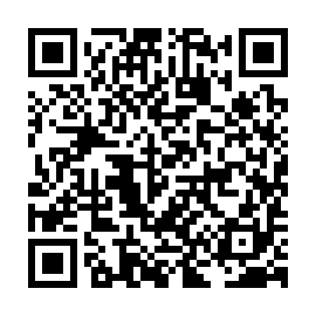 QR code for LN9390