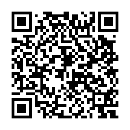 QR code for LNS010