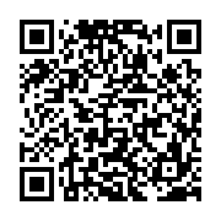 QR code for LNY336